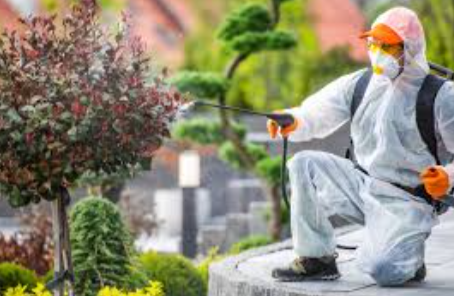 Common Household Pests and How to Prevent Them